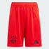 adidas 大童FC BAYERN 運動短褲